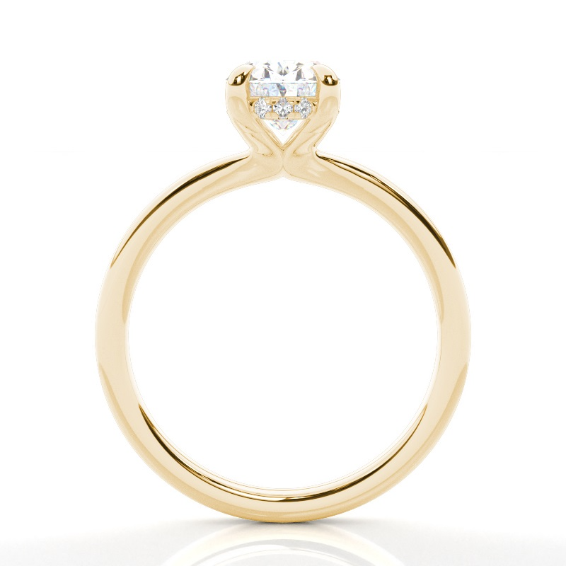 cecilia - classic solitaire setting with hidden halo ag & co jewellery