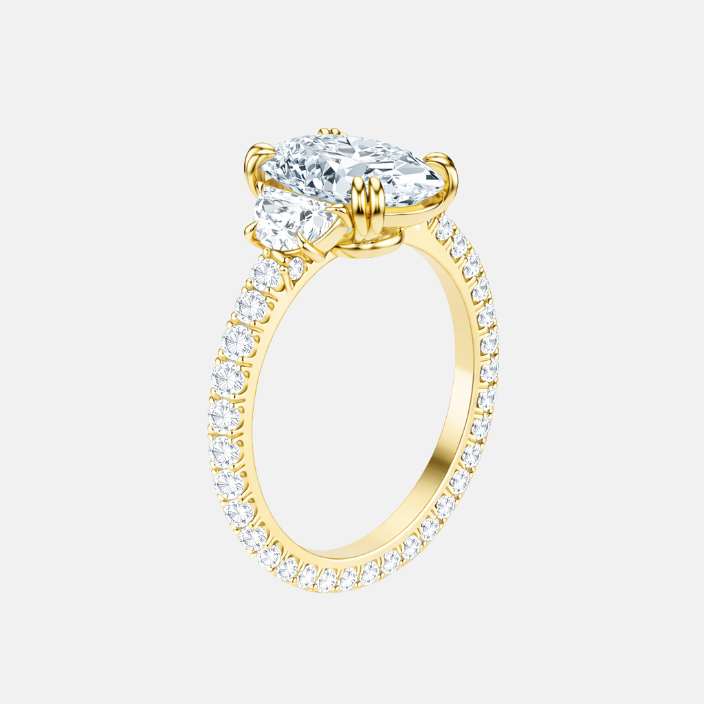 the signature meridian ring ag & co jewellery