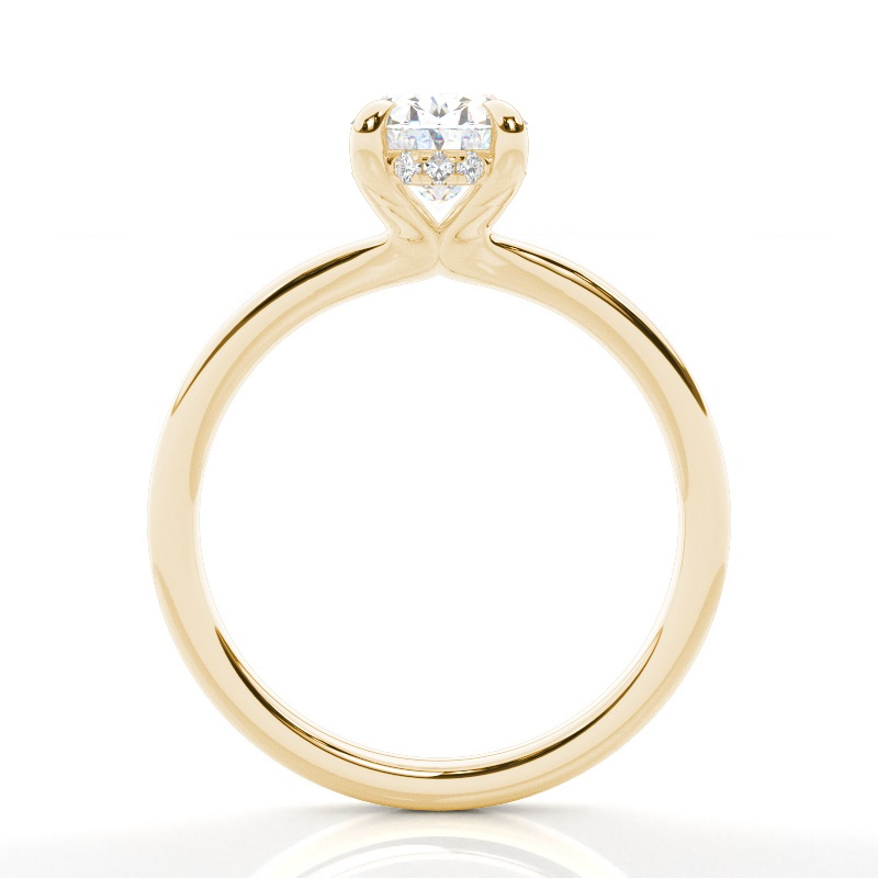 classic solitaire setting with hidden halo