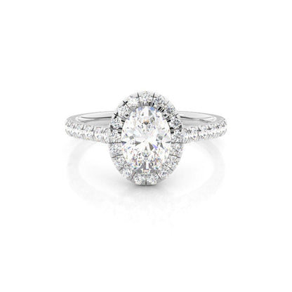Isabella - Oval Halo with Pavé Solitaire Diamond Engagement Ring AG & CO Jewellery