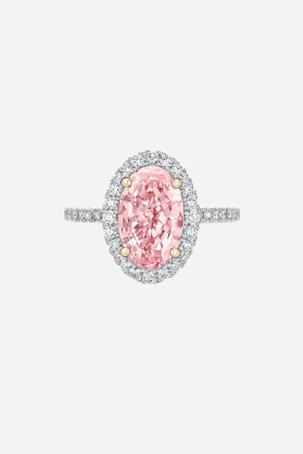 LUCINE – Pink Oval Halo in Diamond Pavé AG & CO Jewellery