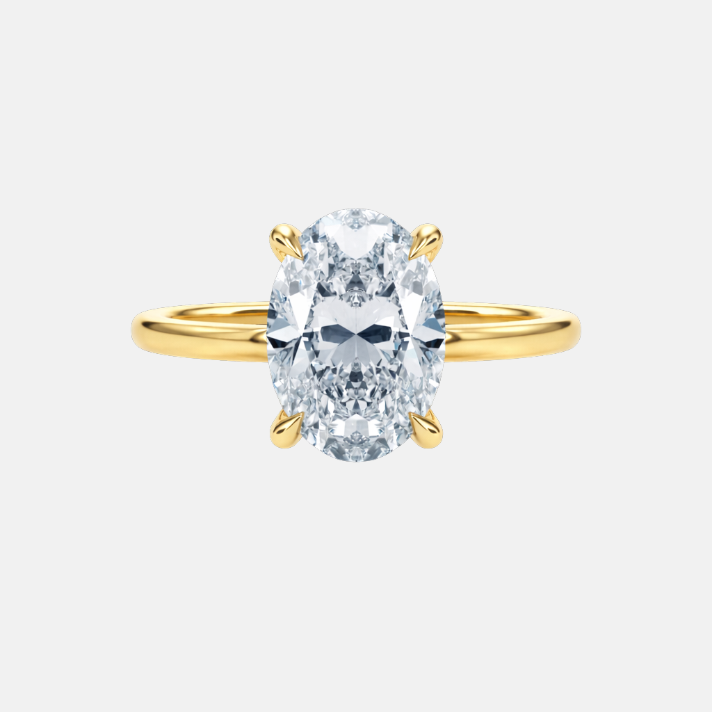 The Signature Hidden Halo Ring AG & CO Jewellery