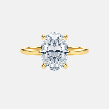 The Signature Hidden Halo Ring AG & CO Jewellery