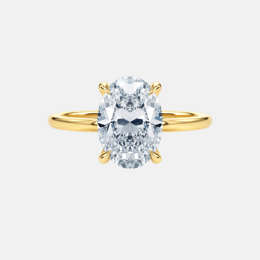 The Signature Hidden Halo Ring AG & CO Jewellery