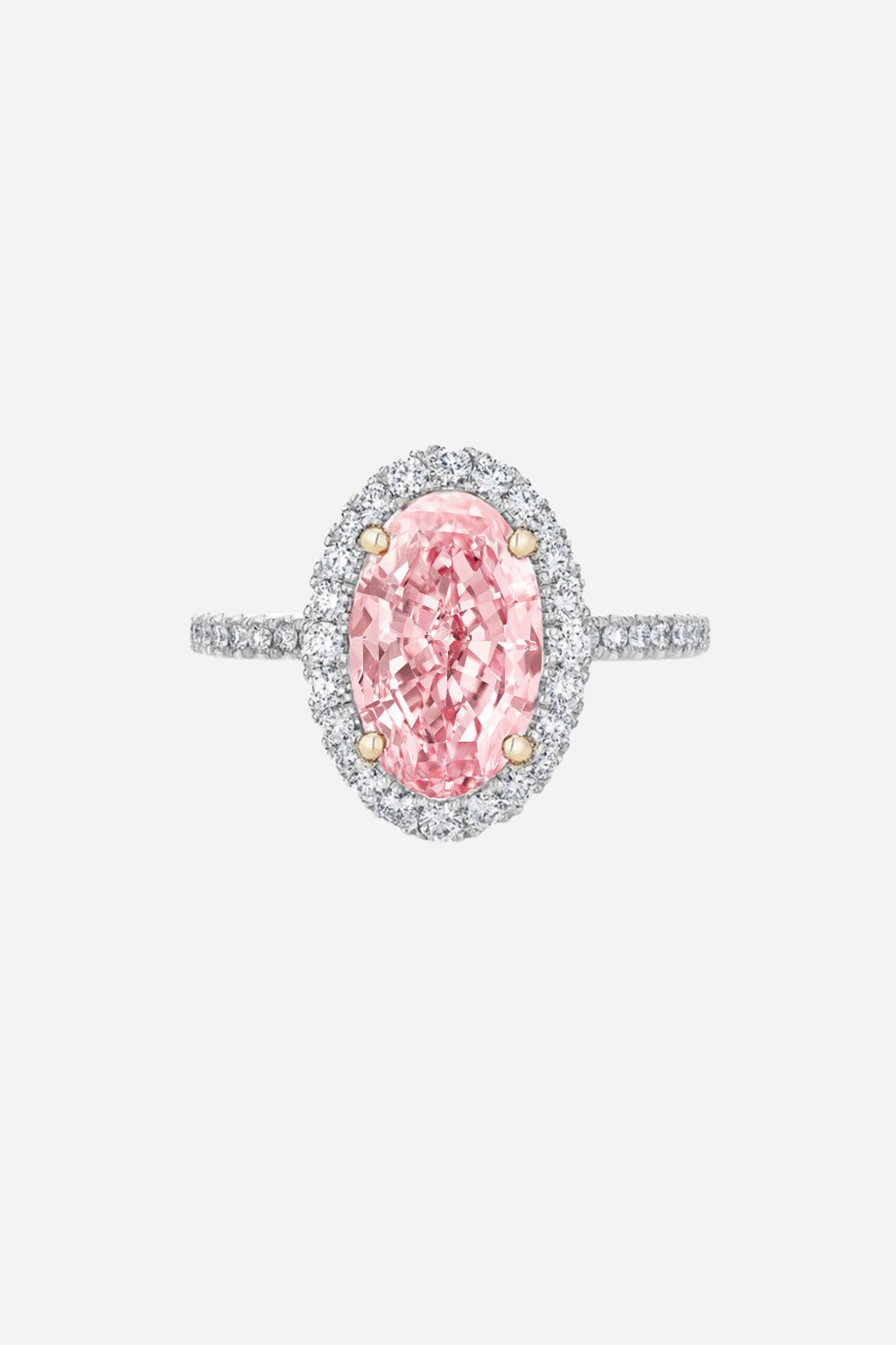 LUCINE – Pink Oval Halo in Diamond Pavé AG & CO Jewellery